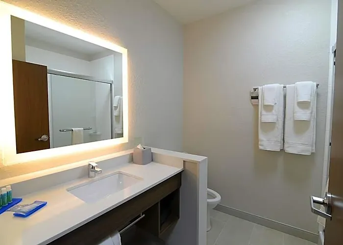 Express & Chicago North Shore - By Ihg Niles