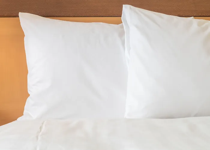 Express & Chicago North Shore - By Ihg Niles